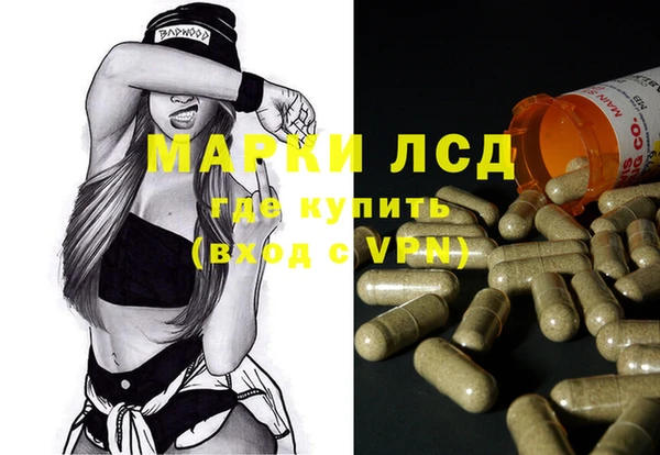 спайс Аркадак