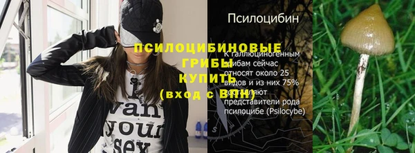 спайс Аркадак