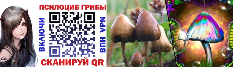 даркнет сайт  площадка состав  OMG зеркало  Псилоцибиновые грибы GOLDEN TEACHER  Суоярви 